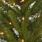 4ft. Pre-Lit Lehigh Valley Pine Entrance Trees with Clear Lights, Set of Two